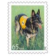 thumbnail image 1 of Dogs At Work - Searching Poster Print by  US POSTAL SERVICE (20 x 28), 1 of 2