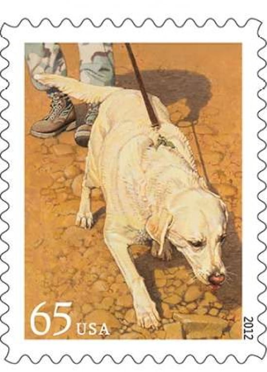 Dogs At Work - Tracking Canvas Art - US POSTAL SERVICE (20 x 28)