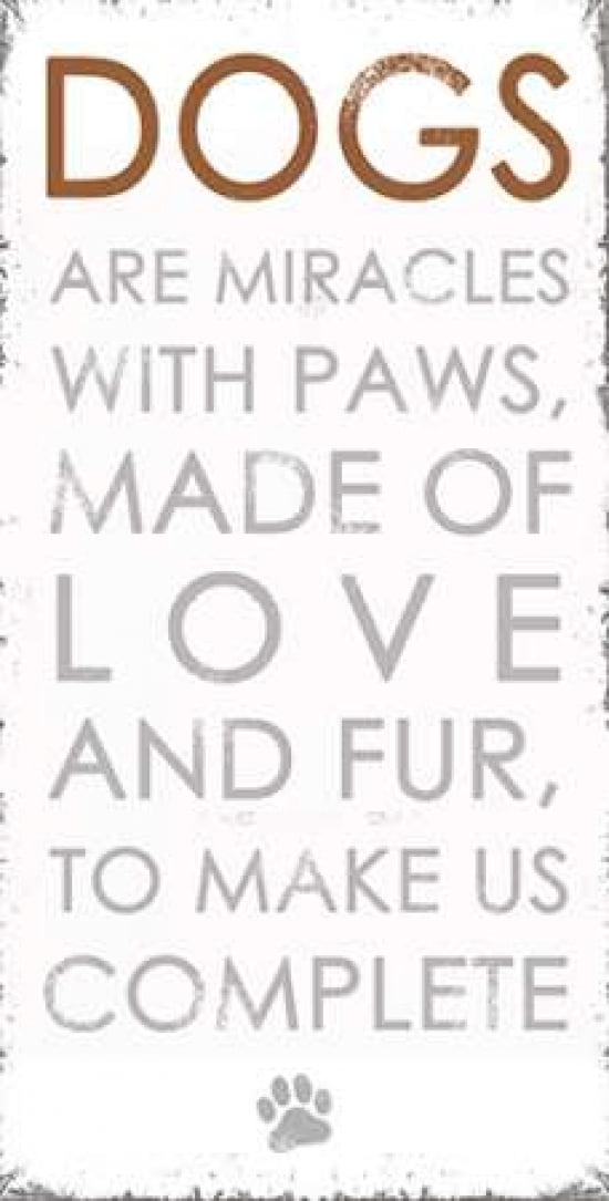Dogs Canvas Art - Anna Quach (10 x 20)
