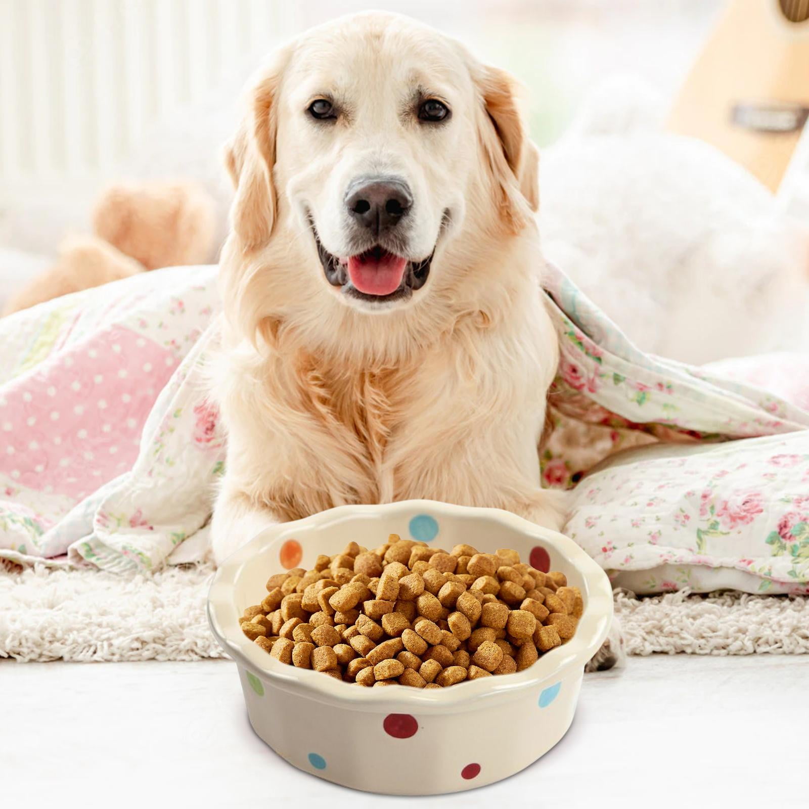 Cute dog best sale food bowls