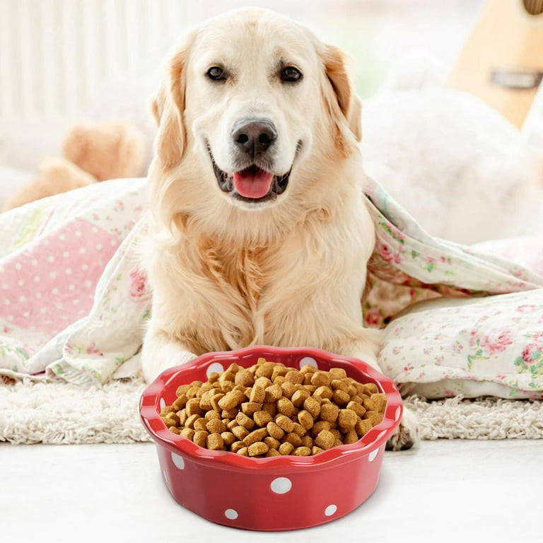 Cute Dog Bowls Small Dogs, Dog Food Water Bowls Ceramic