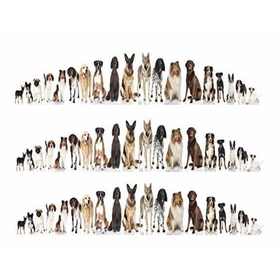 Edible Icing Image Cake Border Strips & Cake Toppers, by TNCT (3 Count)