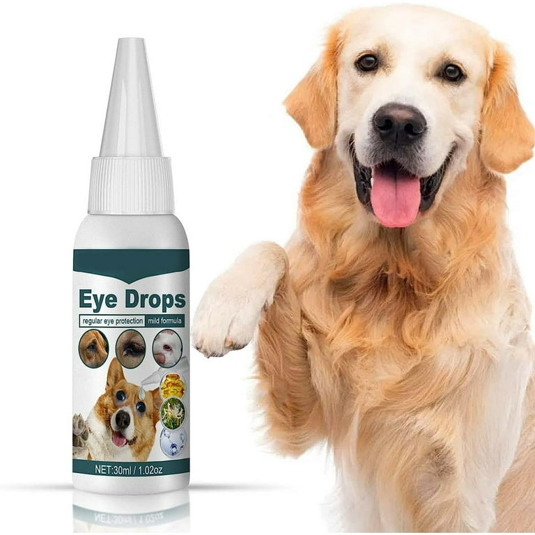 Allergies Dog Pink Eye Treatment Red Eyes Dog Conjunctivitis Cure