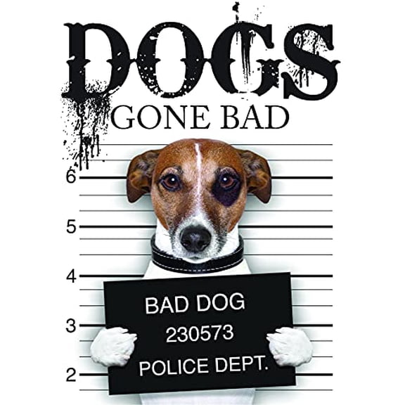 Pre-Owned Dogs Gone Bad Hardcover Amber Books
