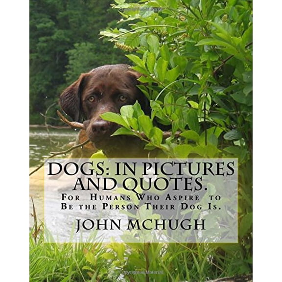 Pre-Owned Dogs: In Pictures and Quotes: For the Human Aspiring to Be the Person Their Dog Is. Paperback