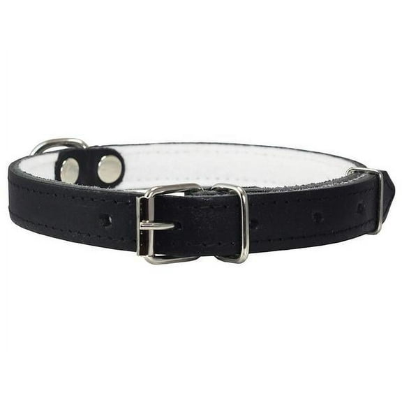 Dogs My Love Genuine Leather Felt Padded Dog Collar Black