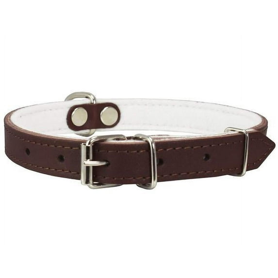 Dogs My Love Genuine Leather Felt Padded Dog Collar Brown