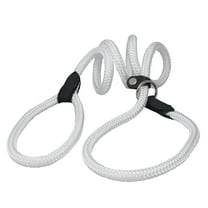 Dogs My Love Nylon Rope Slip Dog Lead Adjustable Collar and Leash 6ft Long (Large: 0.4" (10mm), White)