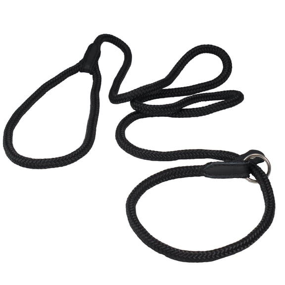 Dogs My Love Nylon Rope Slip Dog Lead Adjustable Collar and Leash 6ft Long (Medium: 3/8" (8mm), Black)
