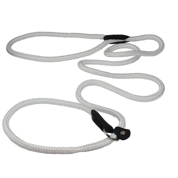 Dogs My Love Nylon Rope Slip Dog Lead Adjustable Collar and Leash 6ft Long (Medium: 3/8" (8mm), White)
