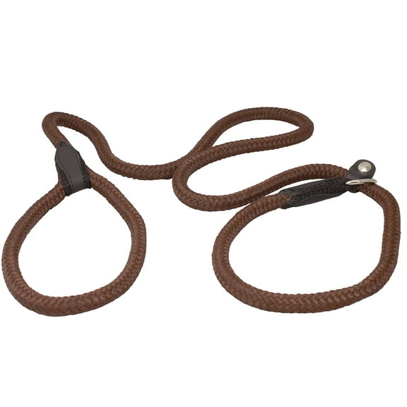 Dogs My Love Nylon Rope Slip Dog Lead Collar and Leash British Style 4ft Long (Large: 0.4" (10mm), Brown)