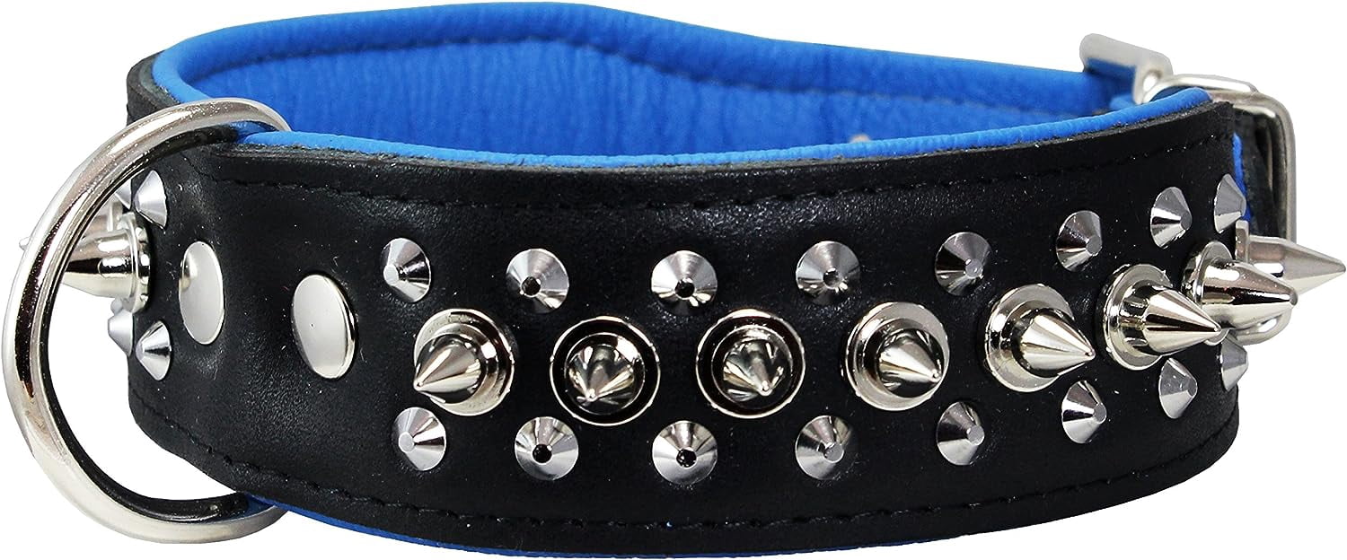 Dogs My love Spiked Studded Genuine Leather Dog Collar 1.75" Wide (14"-17" Neck; 1.75" Wide, Black/Blue)
