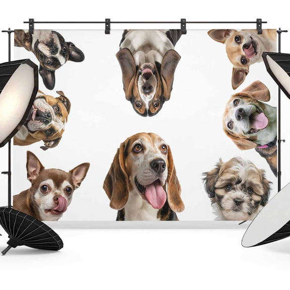 Dogs Photography Backdrop 7x5FT, Modern Cute Multiple Dogs Animals Chihuahua Bulldog Photo Backdrops, Background for Photography Studio Photo Studio Background, Back Drop for Photoshoot