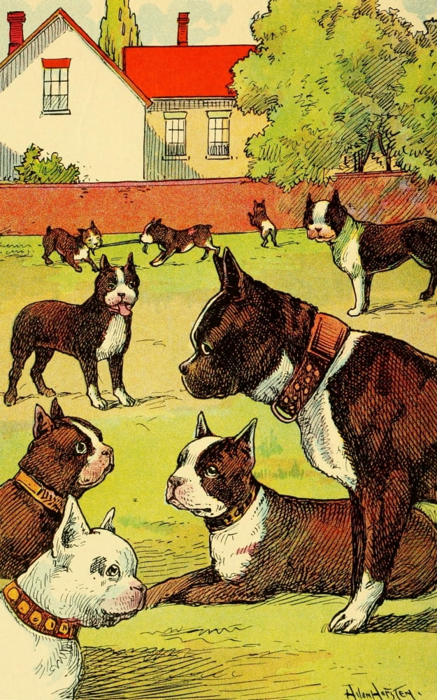 Dogs & Puppies 1908 Boxers Canvas Art - Hugo Von Hofsten (18 x 24)