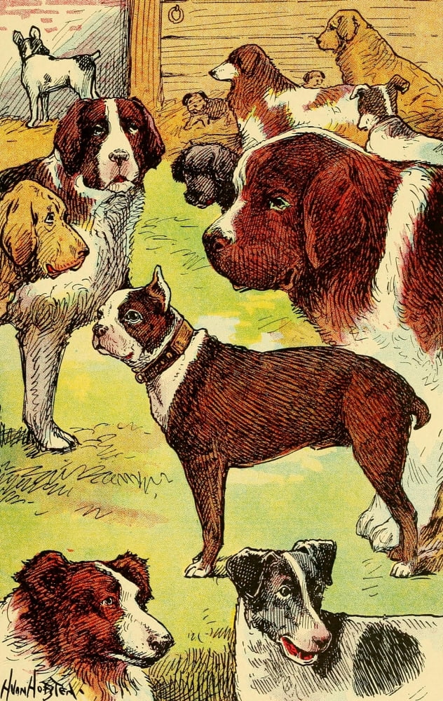 Dogs & Puppies 1908 Many types of dog Canvas Art - Hugo Von Hofsten (24 x 36)
