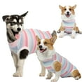 Dogs Recovery Suit After Surgery, Recovery Shirt for Male Female Dogs