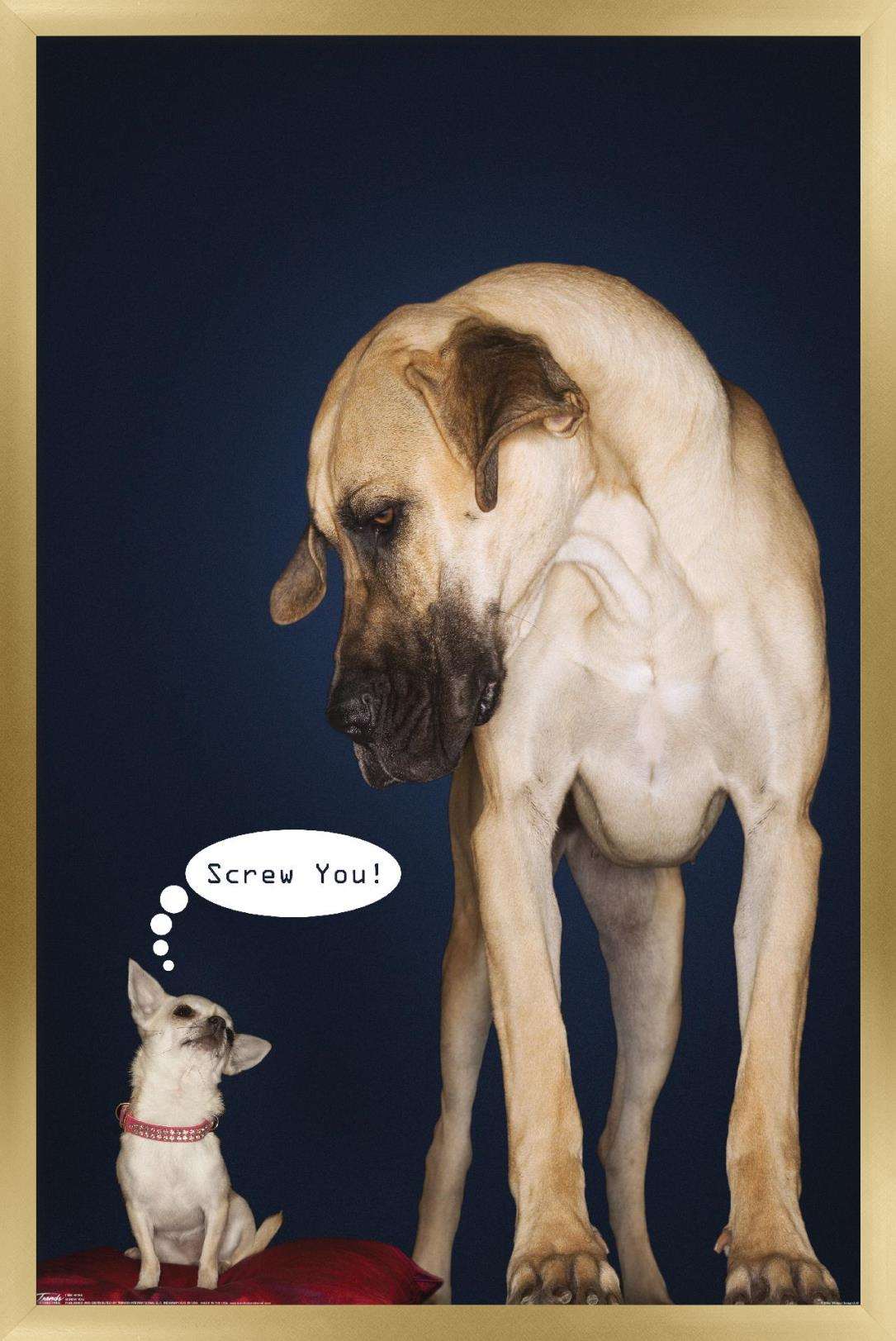 Dogs - Screw You Wall Poster, 14.725" x 22.375", Framed