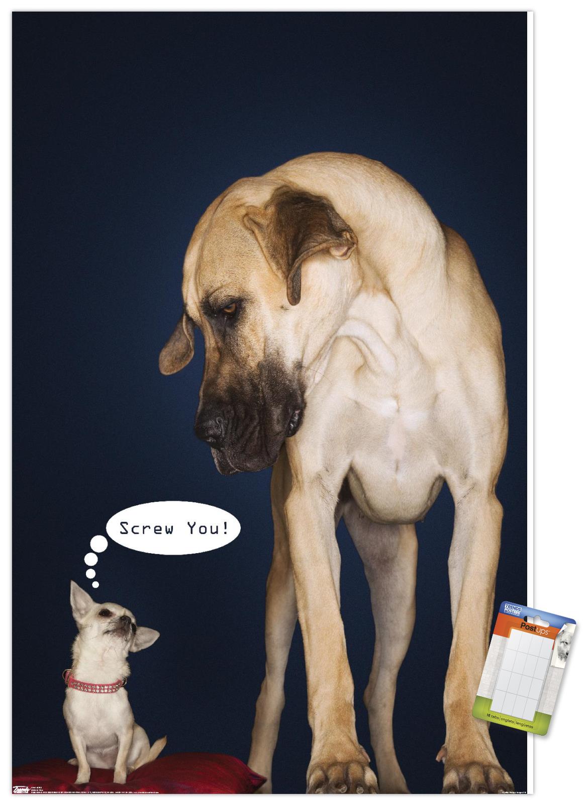 Dogs - Screw You Wall Poster, 14.725" x 22.375"