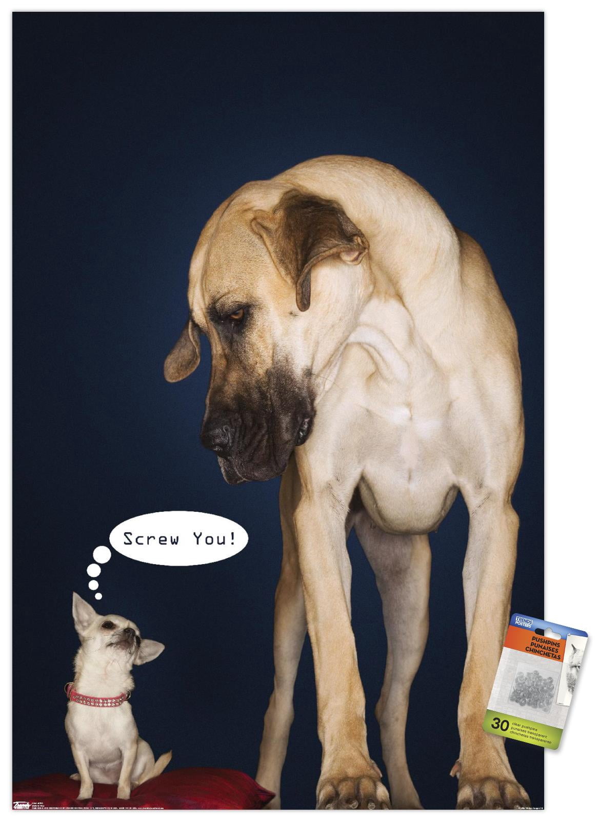 Dogs - Screw You Wall Poster with Push Pins, 22.375" x 34"