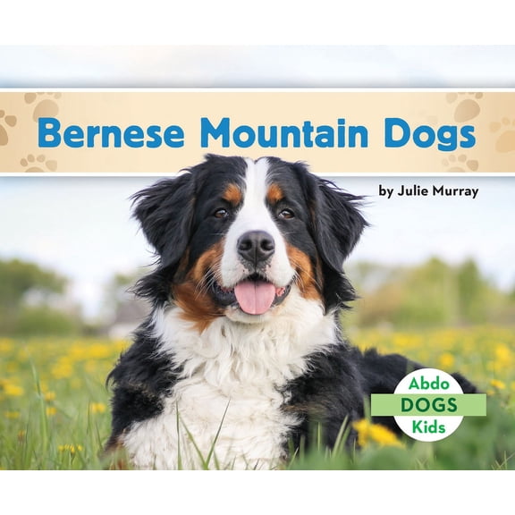 Dogs Set 4 Bernese Mountain Dogs, (Hardcover)