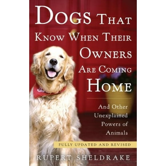 Dogs That Know When Their Owners Are Coming Home : Fully Updated and Revised (Paperback)
