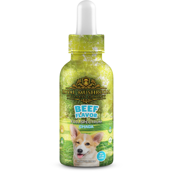 Dogs Tincture Beef Flavor - Chaga