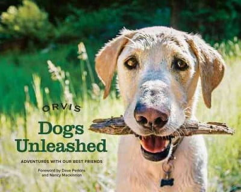 Dogs Unleashed : Adventures with Our Best Friends (Board book)