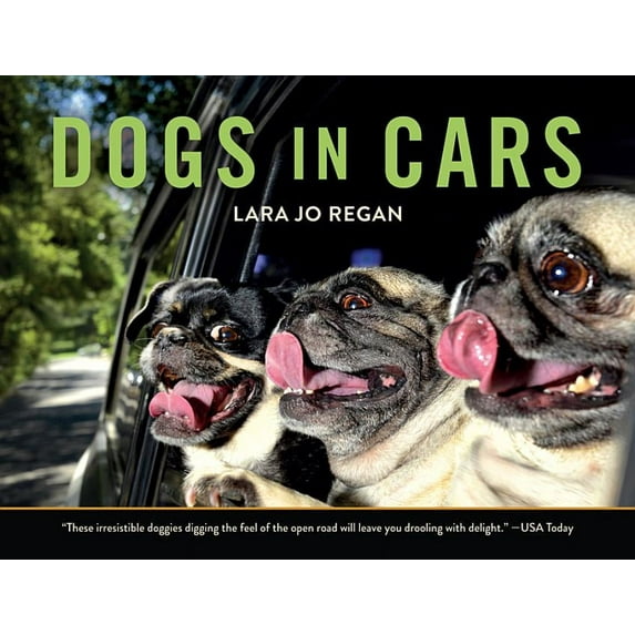 Dogs in Cars (Paperback)