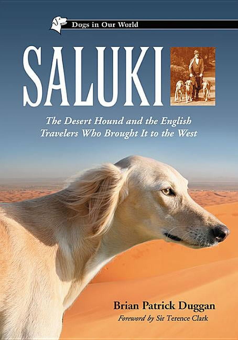 Egyptian Saluki Dog Race Arabian Horse And Saluki Dogs Egyptian