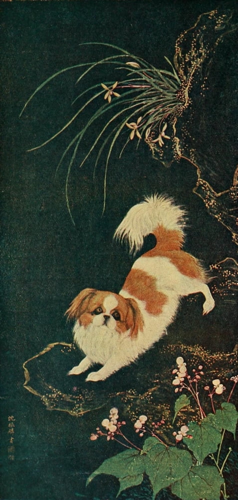 Dogs of China & Japan 1921 Modern Pekingese Canvas Art - Shen Chen-Lin (18 x 24)
