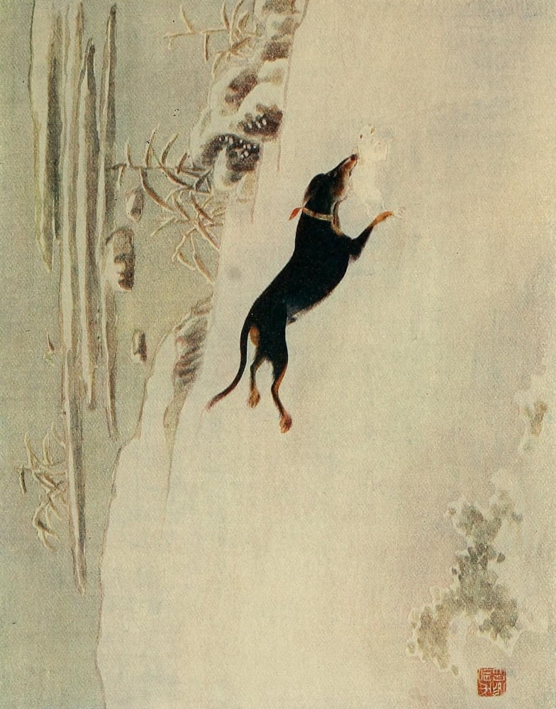 Dogs of China & Japan in Nature & Art 1921 Canvas Art - Unknown (24 x 36)