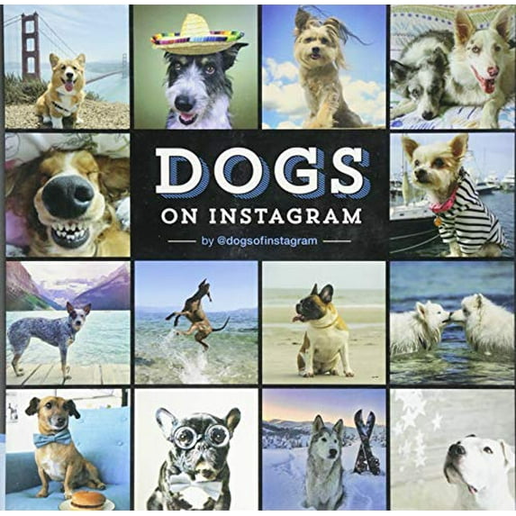 Pre-Owned Dogs on Instagram (Hardcover) 1452151970 9781452151977
