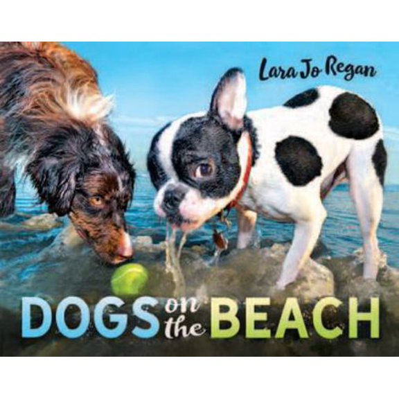 Pre-Owned Dogs on the Beach (Hardcover) 0991637259 9780991637256