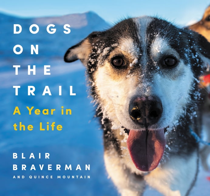 BLAIR BRAVERMAN; QUINCE MOUNTAIN Dogs on the Trail: A Year in the Life, (Hardcover)