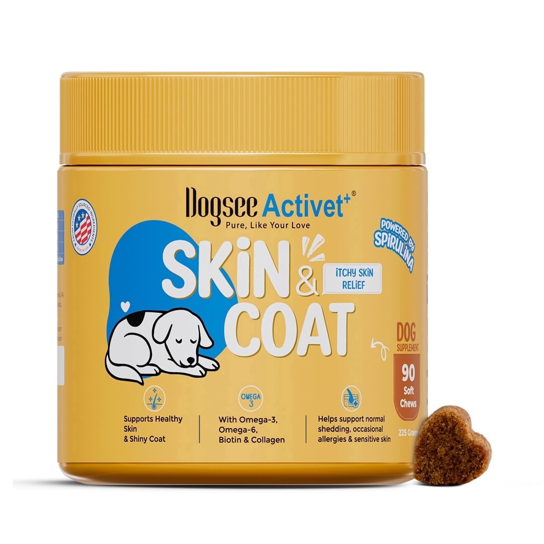 Dogsee Activet+ Dog Skin Coat Supplement Chews, with Omega 3, Omega 6, Biotin & Collagen, Itchy Skin & Shiny Coat Support, Chicken Flavor – 90 Chews