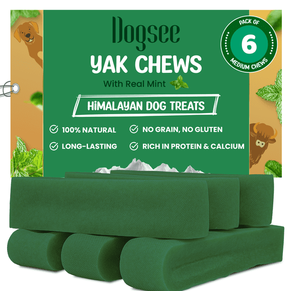 Dogsee Mint Flavor Himalayan Yak Cheese Dental Chews for Dogs 1lb (Medium - 6 Chews) | Aids Digestion | Made in Himalayan Regions | Odorless Dog Treats