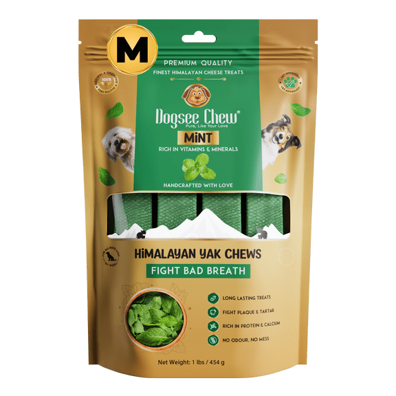 Dogsee Mint Yak Cheese Chews Medium Dogs Dental Odorless Long Lasting 4 Bars