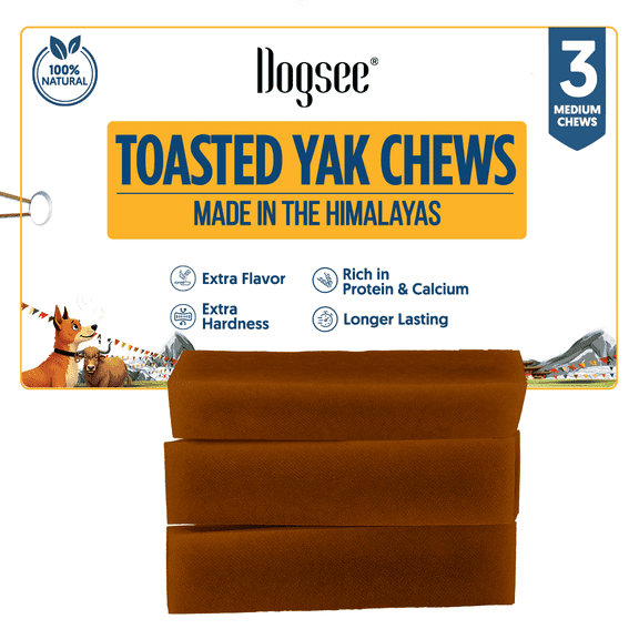 Dogsee Toasted Yak Cheese Himalayan Dog Chews (Medium - 3 Chews) | Extra Long-Lasting | Double Cooked for Extra Smoky Cheese Flavor | Rich in Protein & Calcium | Easy to Digest | for Cleaning Teeth