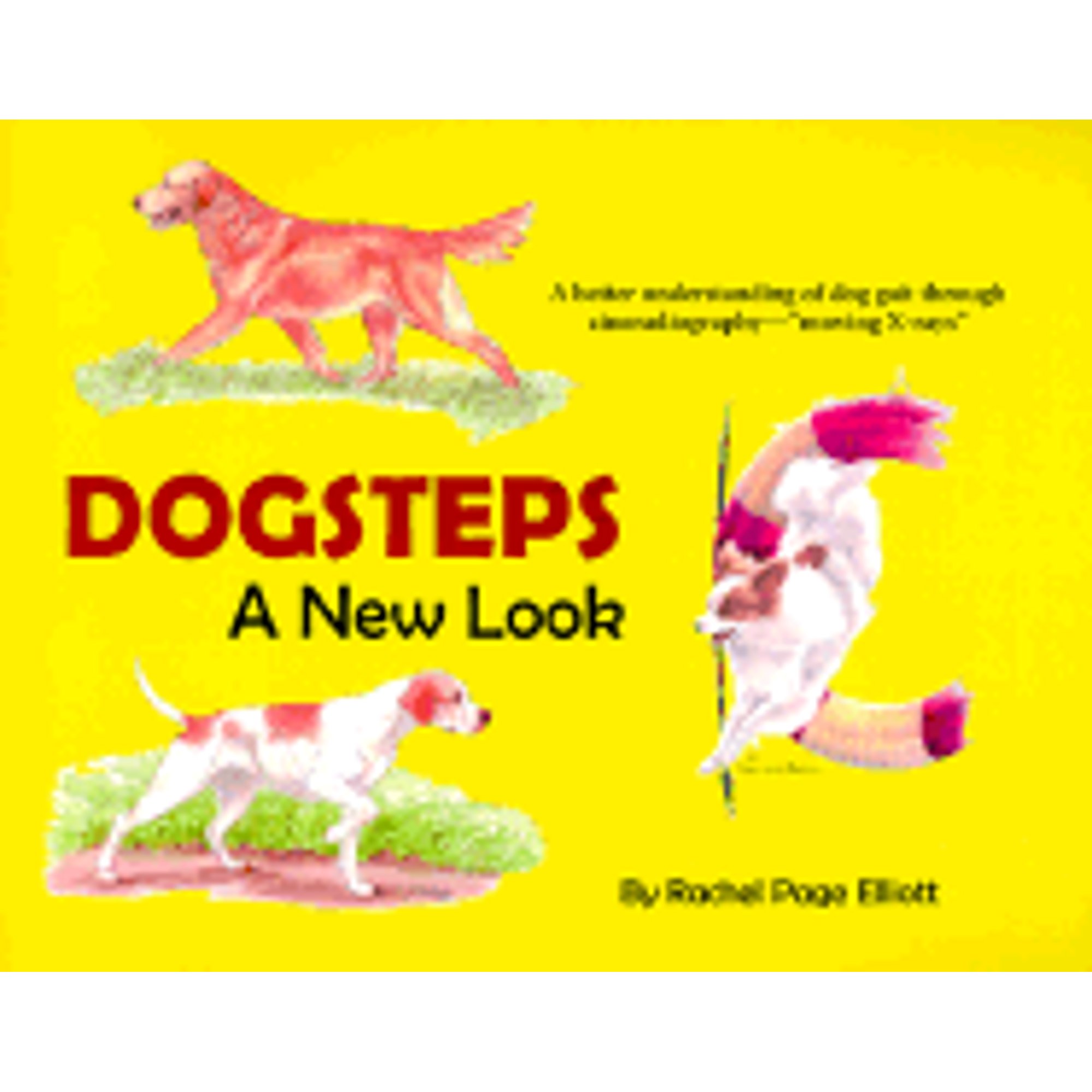 PreOwned DogstepsA New Look A Better Understanding of Dog Gait