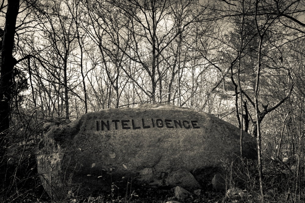Dogtown rock with inspirational word Intelligence Gloucester Cape Ann Essex County Massachusetts USA Canvas Art - Panoramic Images (24 x 36)