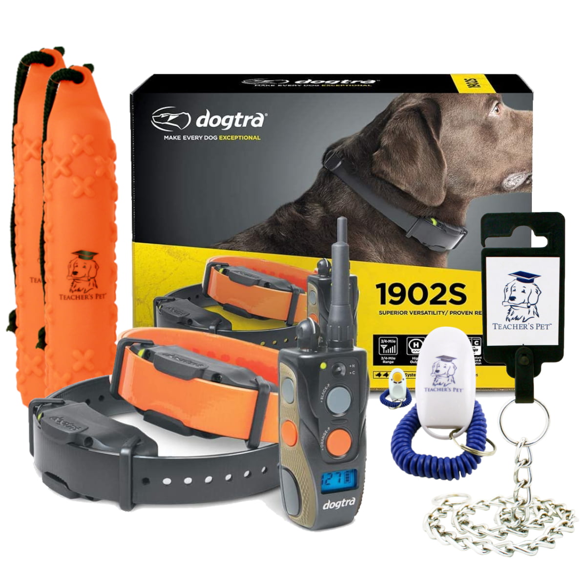 Equipment You'll Need for a Dog Gym: 4 Pieces of Gear – Dogster
