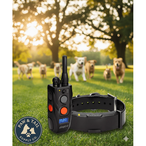 Dogtra ARC Remote Trainer