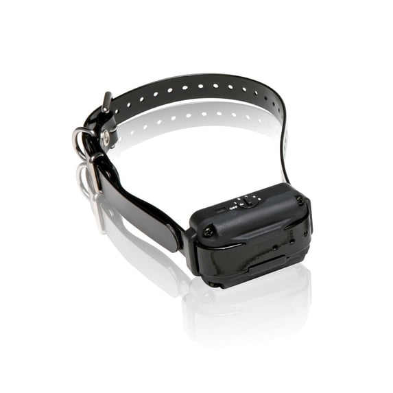 Dogtra EF3000 Dog Collar, Gold