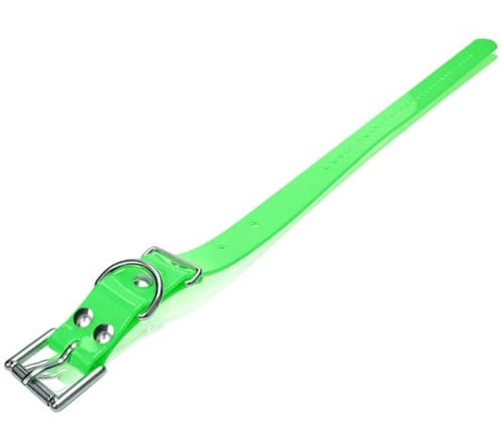 Dogtra Extra Dog Collar Strap Green 3 4