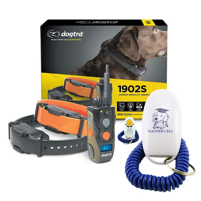 Dogtra 2 shop dog collar