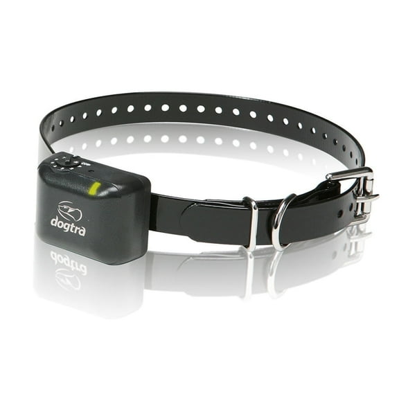 Dogtra No Bark Collar