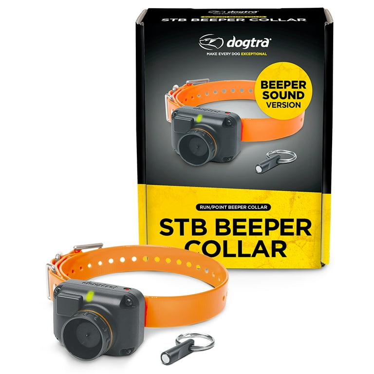 Dog beeper top