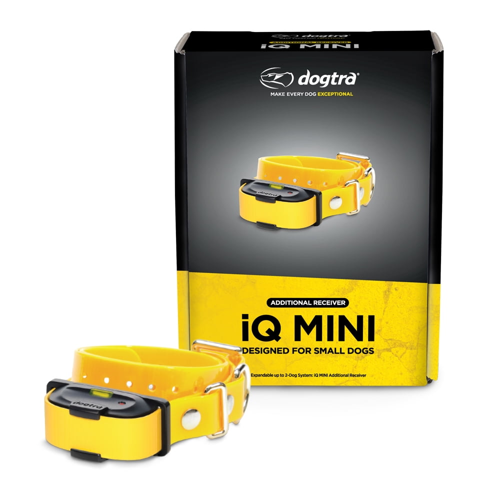 Dogtra mini clearance