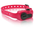 thumbnail image 1 of Dogtra iQ Pet No Bark Dog Collar, Pink, 1 of 4