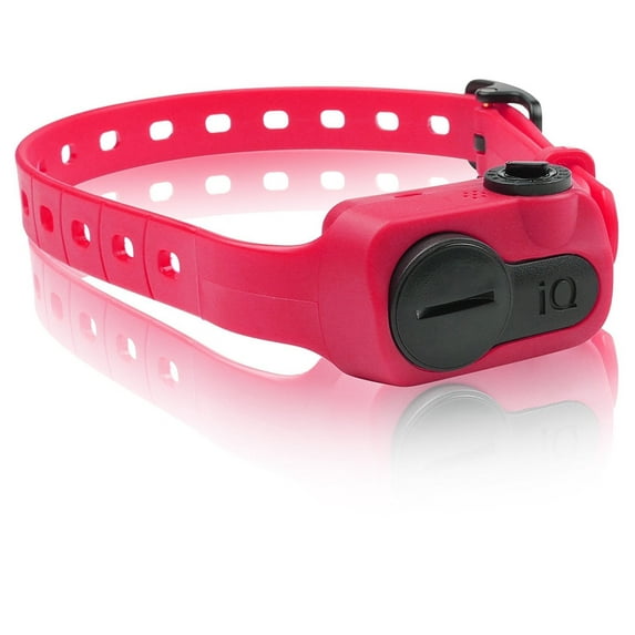 Dogtra iQ Pet No Bark Dog Collar, Pink